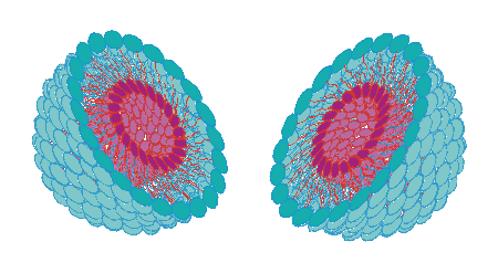 3-D Nanosome Structure
