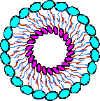 Nanosome