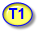 Terminal 1 for Vellus Hair